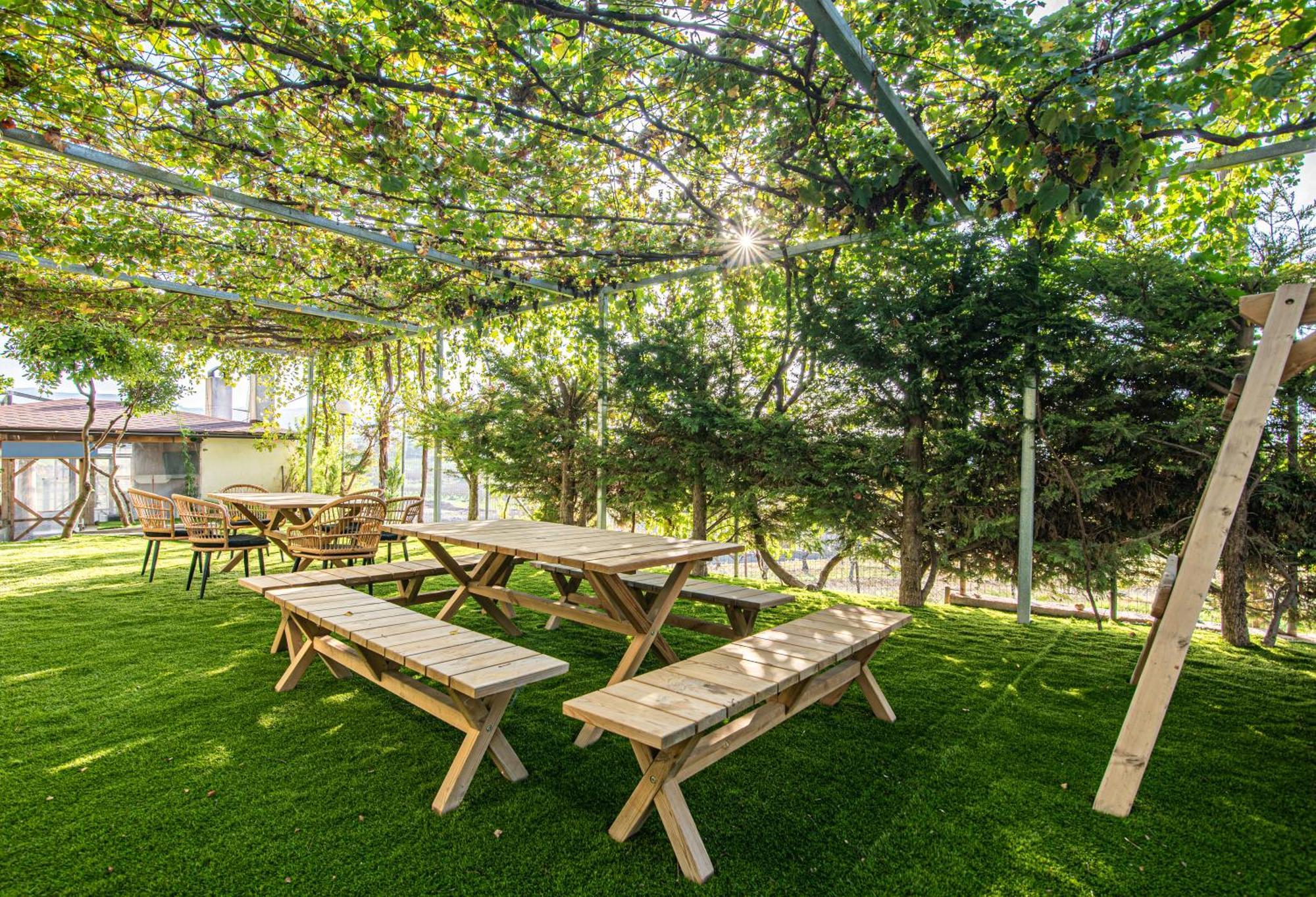 Masticha Apartment Oinofyta Ngoại thất bức ảnh